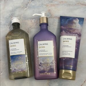 Bath and body works aromatherapy calming skies lavender & peppermint bodycares